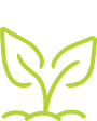 CDC-Specialty-plant--icon