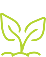 CDC-Specialty-plant--icon