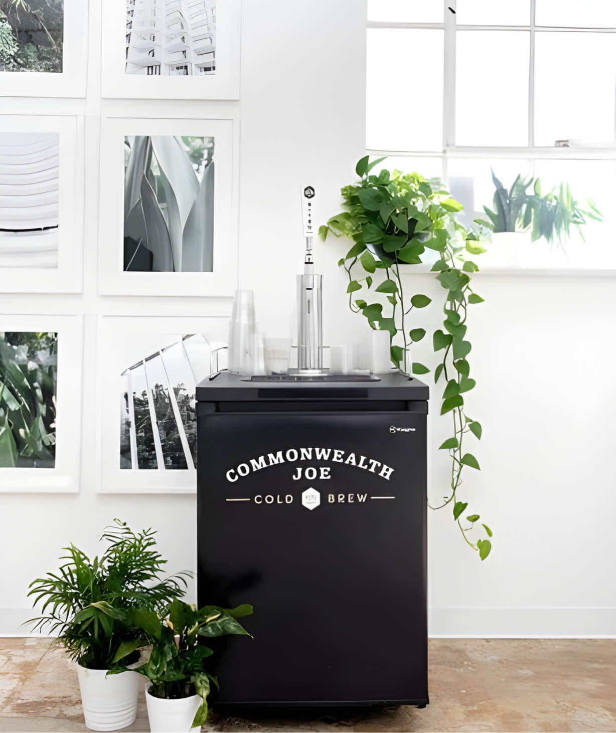 Commonwealth Joe Seltzers