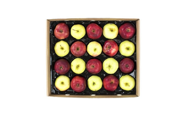 Apples Panta Pack Gold