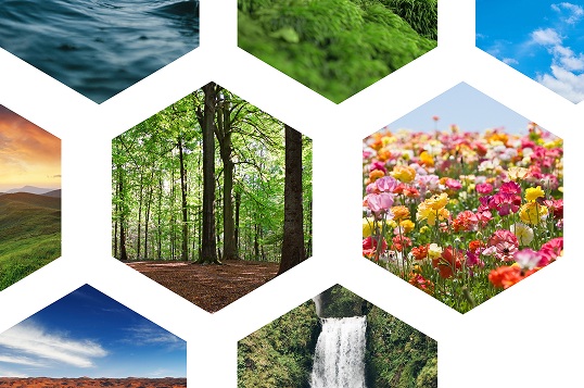 Sustainability Img